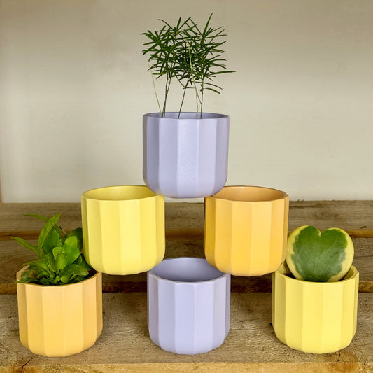 Geo Mini Planters- Lilac/Lemon/Apricot