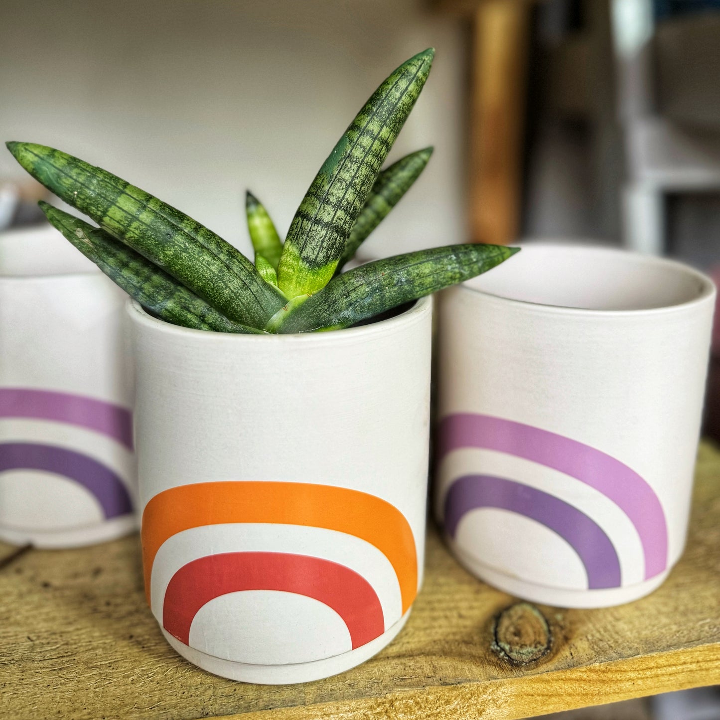 Deco Mini Rainbow Pots-Pink/Orange