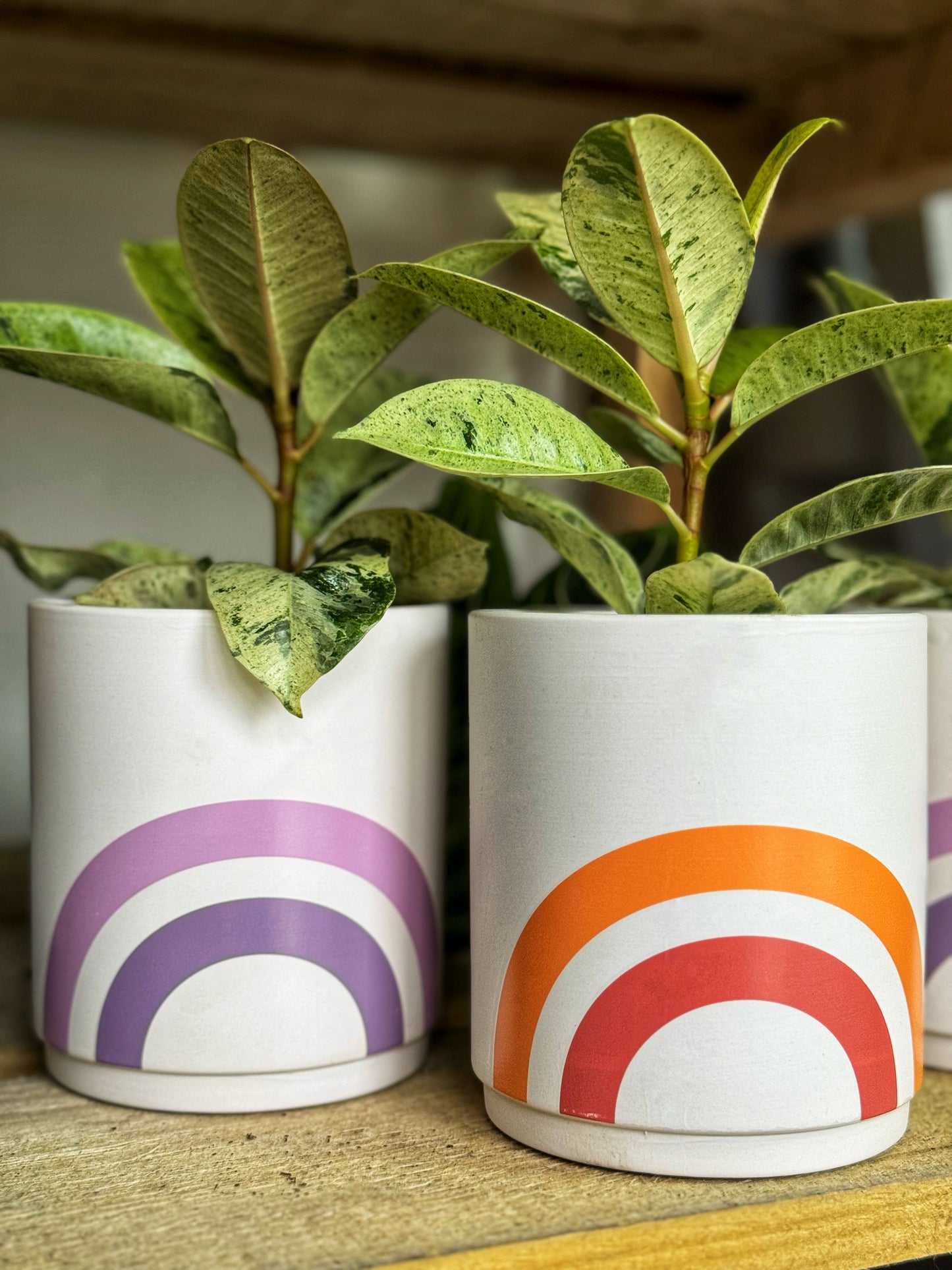 Deco Mini Rainbow Pots-Pink/Orange