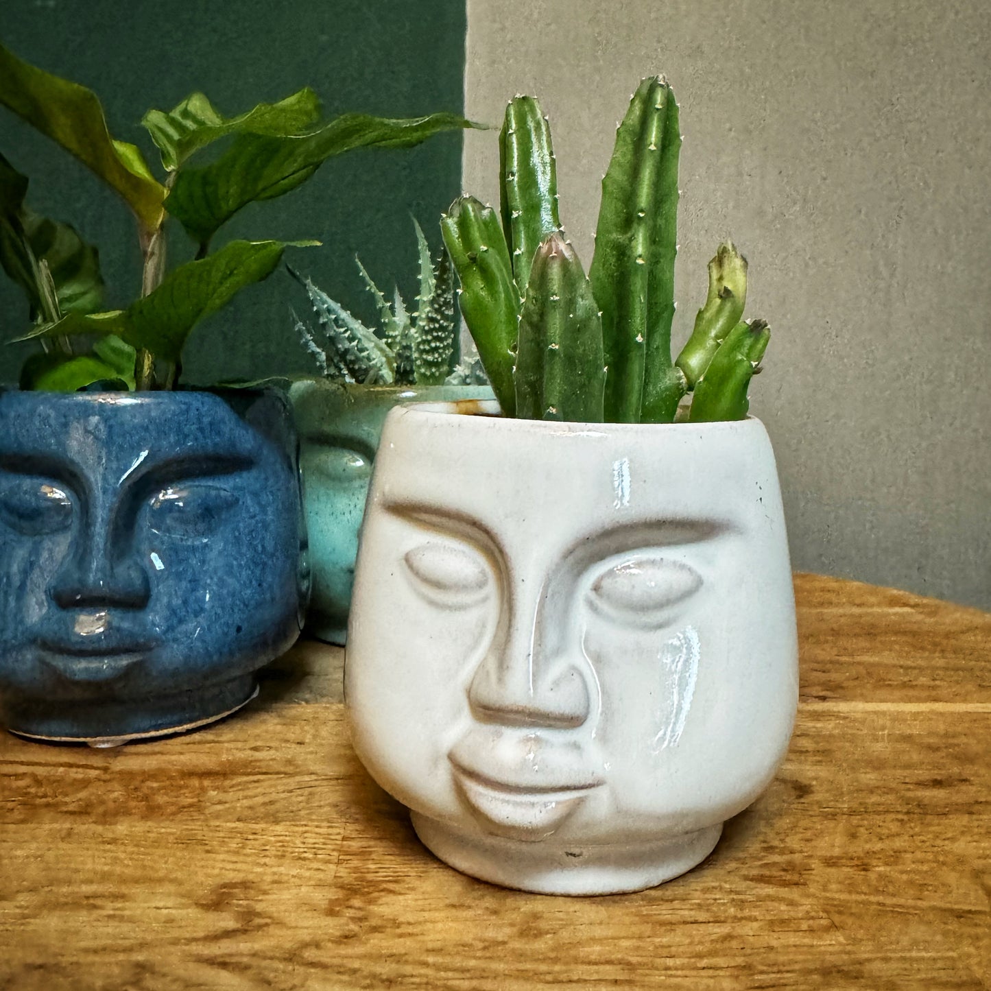 Mini Face pots- Green/Stone/Navy Blue