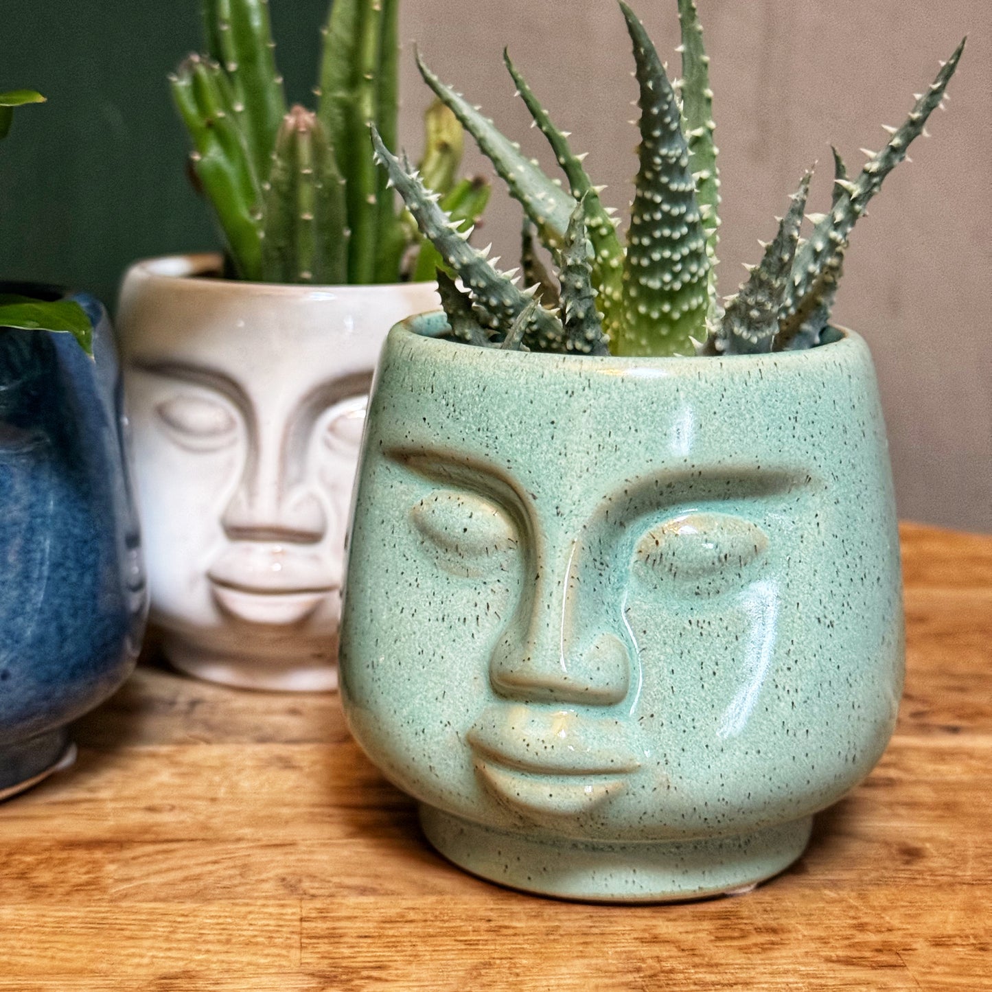 Mini Face pots- Green/Stone/Navy Blue