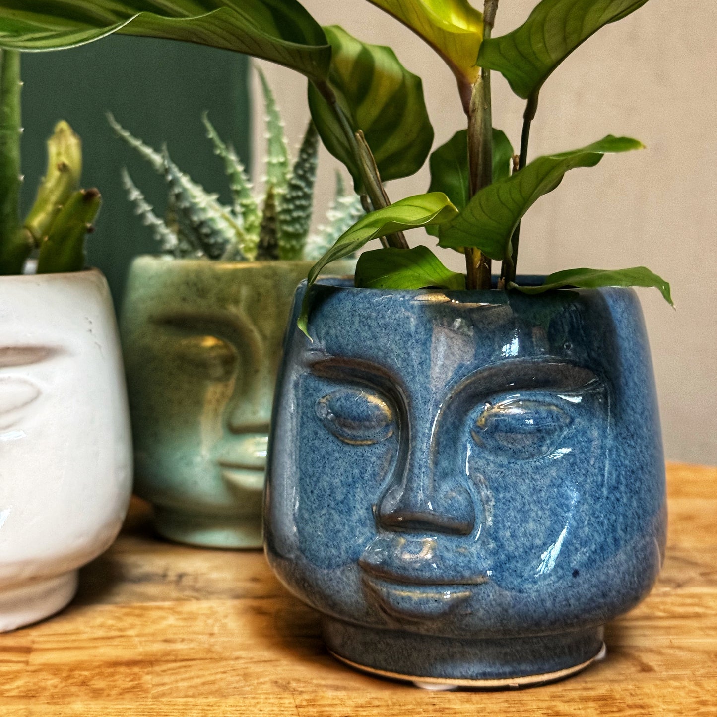 Mini Face pots- Green/Stone/Navy Blue