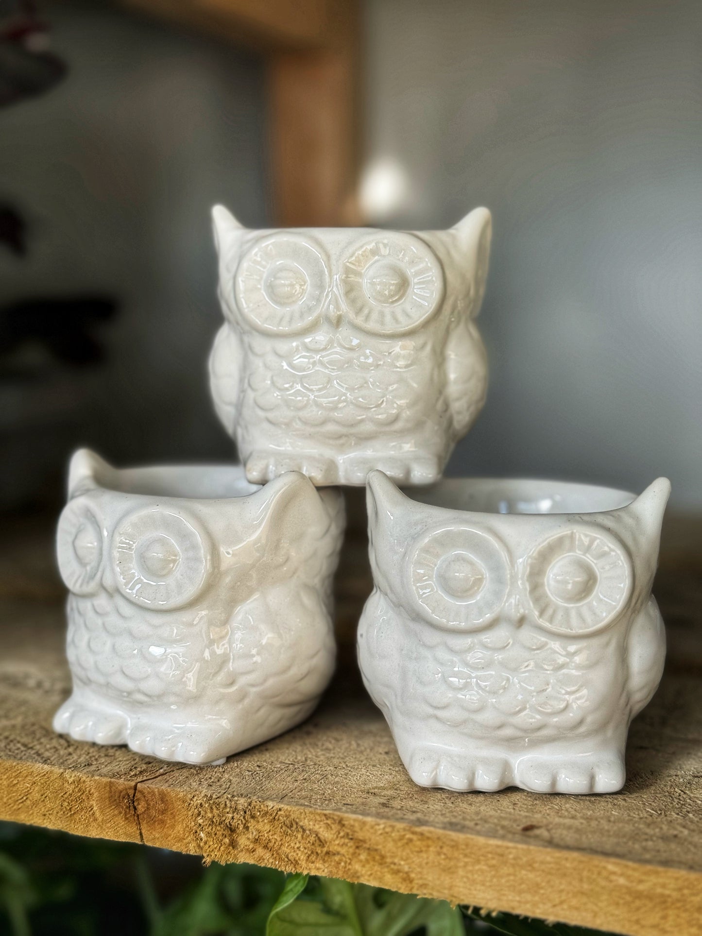 Mini OWL pot