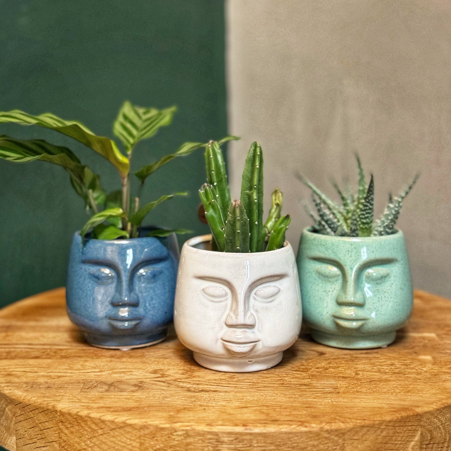 Mini Face pots- Green/Stone/Navy Blue