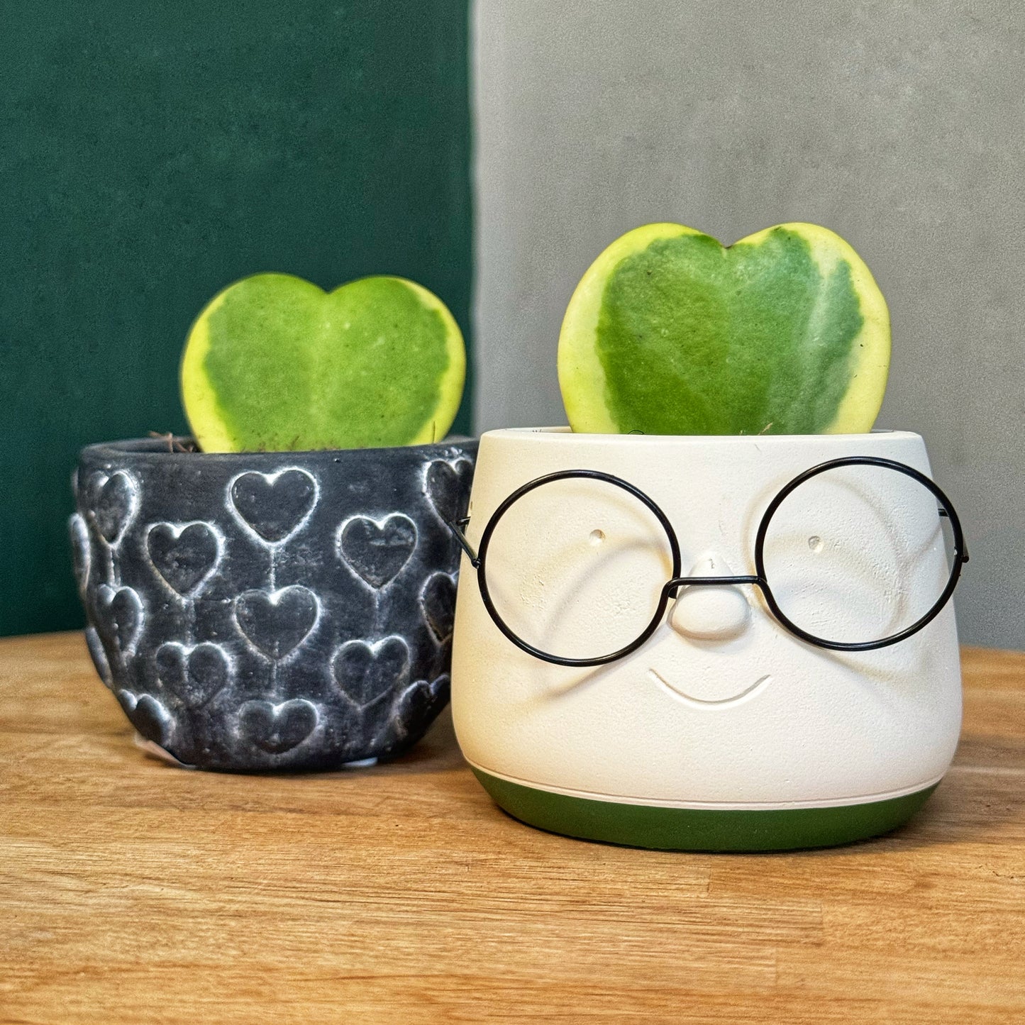 Harry POTter MINI - Spectacles Pot - Gold or Green