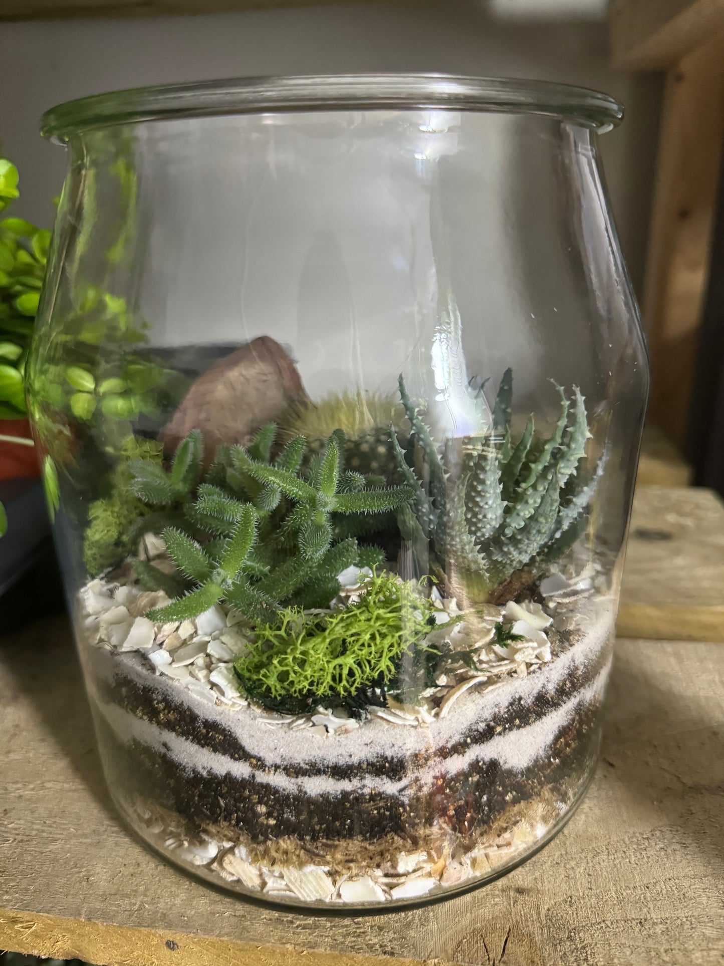 Succulent Terrariums @ Gray's of Rothwell JAN 12th