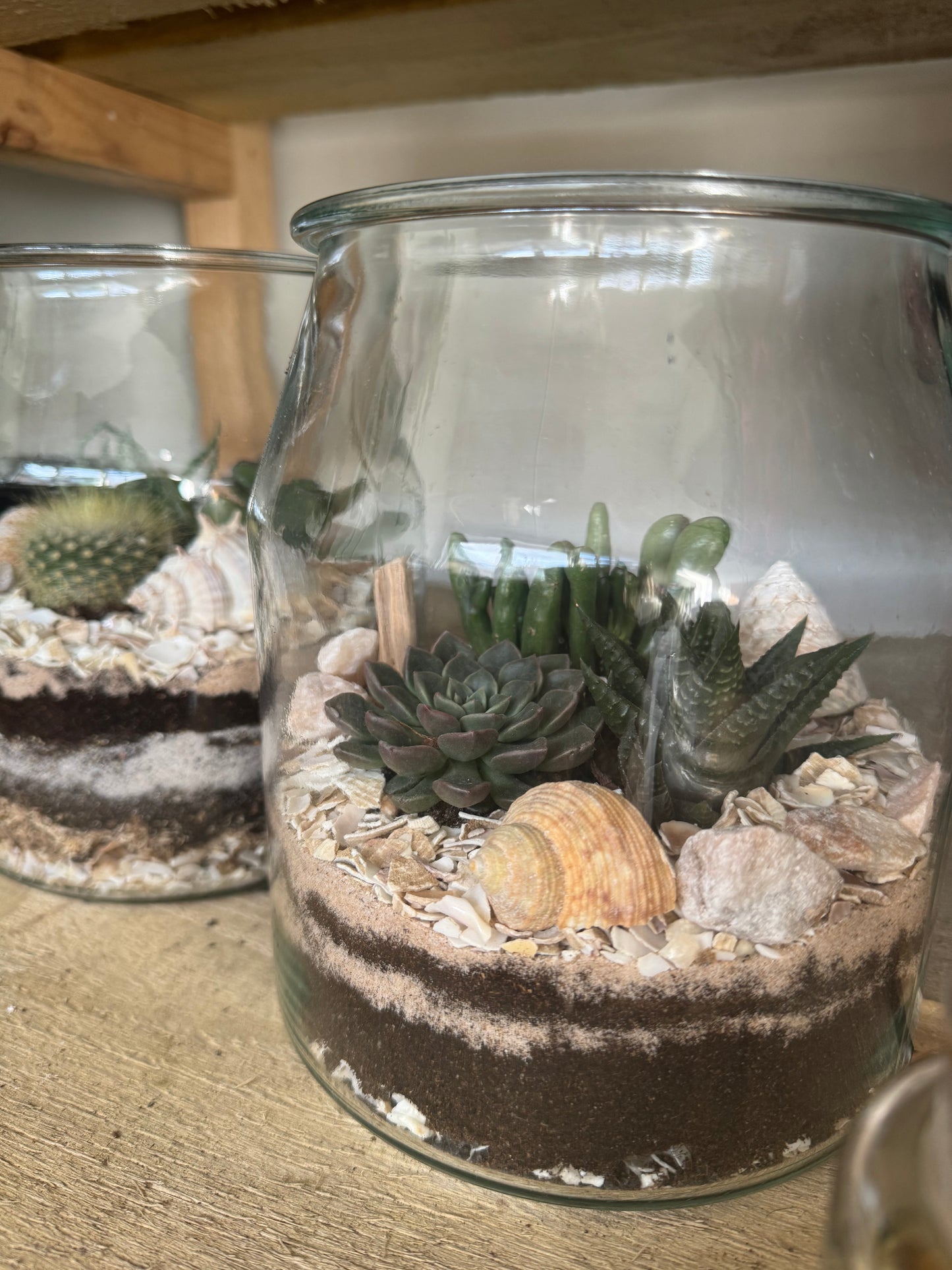 Succulent Terrariums @ Gray's of Rothwell JAN 12th