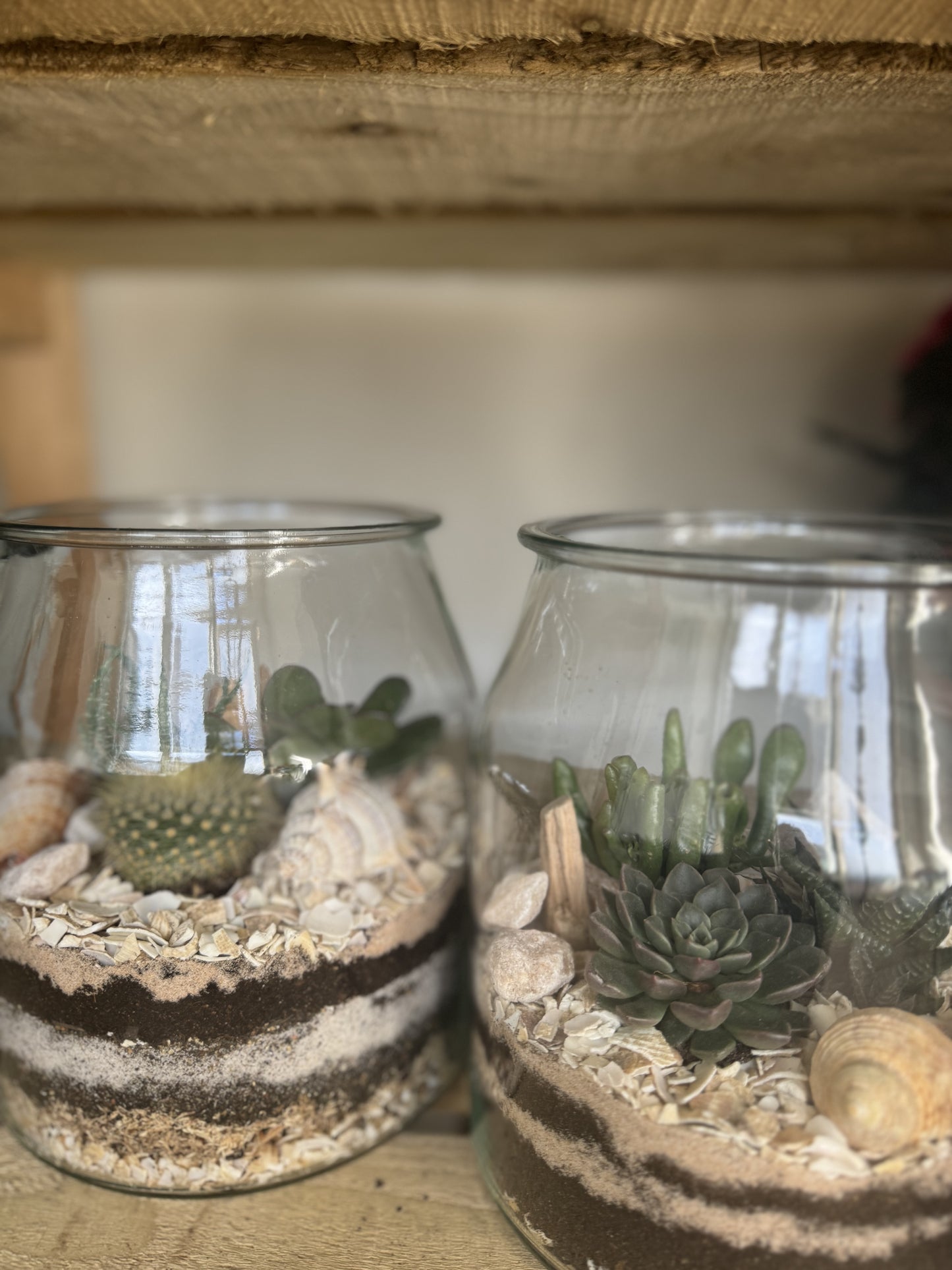 Succulent Terrariums @ Gray's of Rothwell JAN 12th